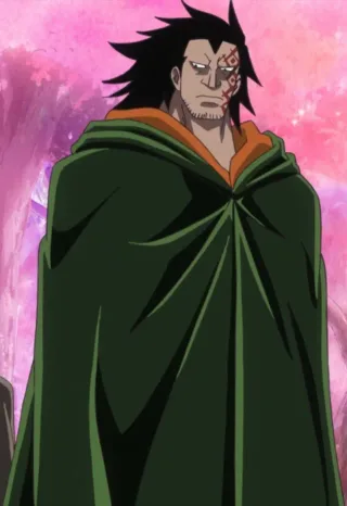 Monkey D. Dragon one piece mbti