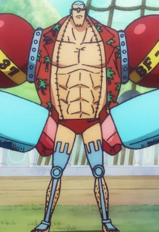 Franky one piece mbti
