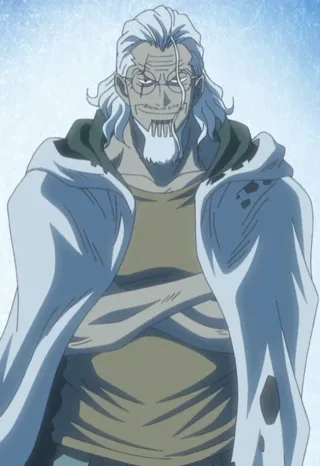 Silvers Rayleigh one piece mbti