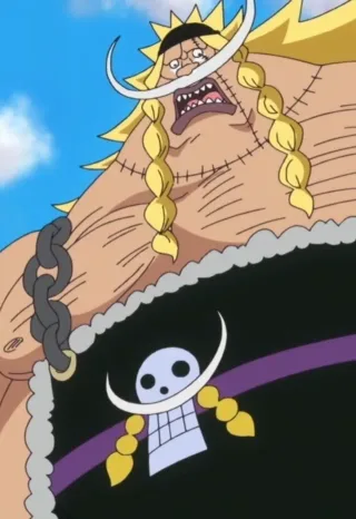 Edward Weevil one piece mbti